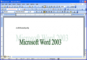 office 2003 -anh2