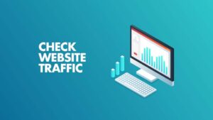 Check-Website-Traffic